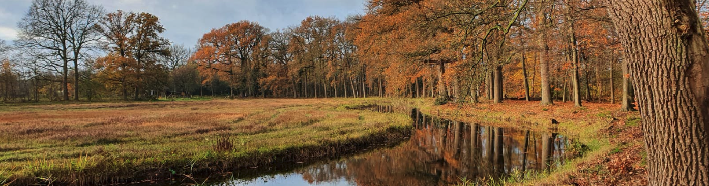 Herfstkleuren langs het water.