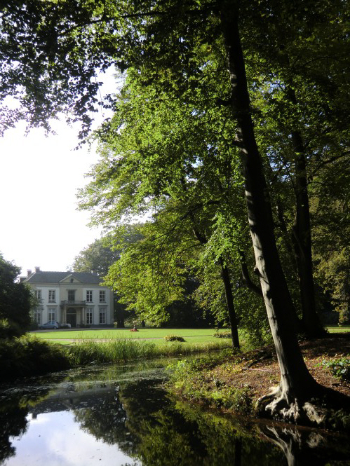 Laan met oude bomen op het landgoed.